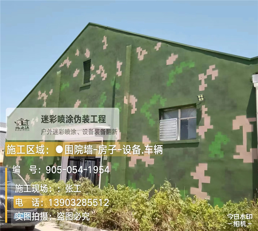 遂宁外墙数码迷彩漆施工报价清单（100㎡标准墙面测算）